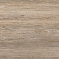 GFU04FOR24R плитка напольная керамогранитная Forest 600*600 - керамическая плитка